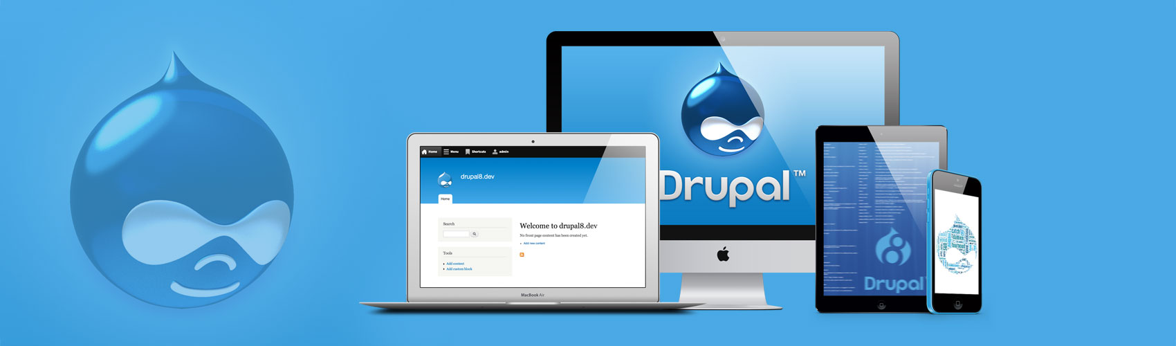 drupal web development company template
